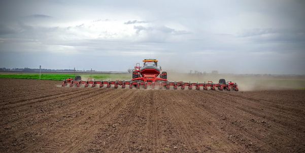 rearview-planting
