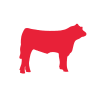 cattle-icon